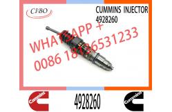 China Common Rail Fuel Injector 4928260 4088725 1521978 1764365 4030346 4088660 4954434 supplier