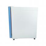 High Heated Laboratory Industrial Lab Vacuum Drying Equipment Test Oven for sale