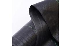 China Premium Fabric Ground Cloth Weed Barrier With Superior Permeability Weed Control supplier