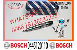 China Bosch Injector 0445120110 Common Rail Injector Assembly 0445120110 supplier