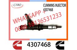 China Diesel Engine Fuel Common Rail Injector 110528079 4307475 4307468 For Cummins supplier