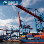 Door To Door Ocean Freight Logistics , China To USA Sea Freight FCL LCL for sale