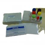 Epidermal Growth Factor Human EGF ELISA Kit Plate 96 Well for sale