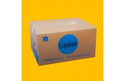 China 20000U/G Lipase Breaks Down Fats For Food & Baking Processing supplier