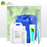 Factory Pure Natural Flavor Food Grade For Mint Toothpaste Making With Food Additives for sale