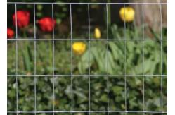 China Galvanised Mesh Roll For Rabbit And Chicken Netting 30m 50m Length supplier