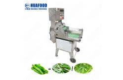 China Industrial Multifunction Vegetable Cutting Machine fruit and vegetable cutter machine supplier
