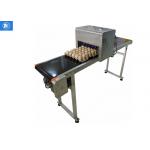 Automatic Continuous Industrial Egg Inkjet Printing Machine With Best Service For Food Package Eggs for sale