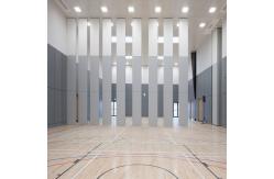 China Flexible Activity Soundproofing Folding Partition Walls For Training Center supplier