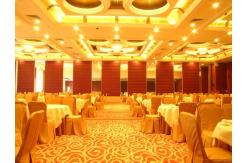 China Hanging System Sliding Room Dividers / Operable Partition Walls supplier
