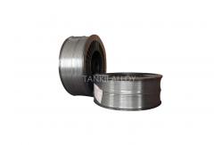 China Vacuum Coating Ni95Al5 Thermal Spray Wire Nickel Aluminum Alloy Wire 75B supplier