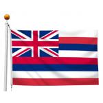 China Government Public Institutions​ ​​Hawaii Flag National Civic Events Civic Education factory