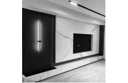 China WPC PVC Interior WPC Wall Panel supplier