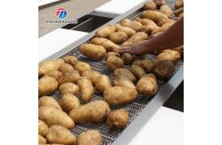 China Customized Vegetable Processing Machine Fruit Sorting Table supplier