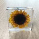 Low MOQ Custom Shapes Sizes paper weight Crafts For Decoration custom resin weightpaper scale flower inside acrylic paper weight for sale