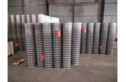 China 25x25mm Hole Hot Dipped Galvanized Welded Wire Mesh supplier