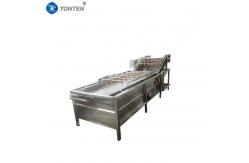 China Premium Food Washing Machine Ensuring Hygienic Food Preparation Without Fail supplier