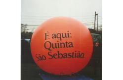 China high quality inflatable flag balloon  supplier