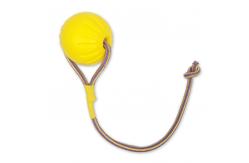 China Floating Solid Elastic Light Pet Training Eva Chew Toy Ball 7x7cm With Rope supplier