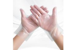 China Oil - Proof Textured Disposable TPE Gloves For Enhanced Grip And Control supplier