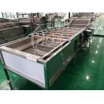 Vegetable Fruit Washing Machine Salad Washing Machine Bubble Washer for sale