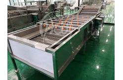 China Vegetable Fruit Washing Machine Salad Washing Machine Bubble Washer supplier