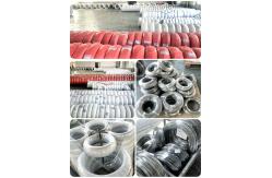 China Sprayer Lotion Pump Spring Wire supplier