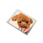 LQ057Q3DC17 5.7'' 320*240 TFT LCD PANEL Model for sale