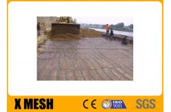 China ASTM D7737 Polyethylene Mesh Netting 100 Years Triaxial Geogrid supplier