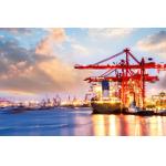 Cross Border E Commerce Sea Cargo Freight Forwarding Service Fast Shipping Logistics for sale