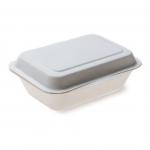 Sugarcane Biodegradable Clamshell Boxes Tableware Take out Food for sale