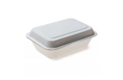 China Sugarcane Biodegradable Clamshell Boxes Tableware Take out Food supplier