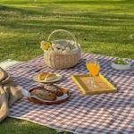 Over Sized Outdoor Picnic Blanket 80*80 Inches Waterproof Portable for sale