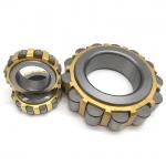 Chrome Steel Material Koyo 619YSX Eccentric Cylindrical Roller Bearing KOYO 619 YSX SUMITO Reducer Bearing for sale