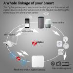 EU Plug Tuya Remote Power Socket Life APP Intelligence Remote Light Socket