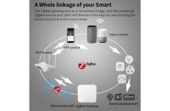 China EU Plug Tuya Remote Power Socket Life APP Intelligence Remote Light Socket supplier