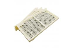 China Apicultural Tools Plastic Queen Bee Frame Honey Bee Box Beekeeper Tool No Graft supplier