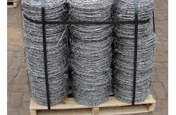 China 2 strands L3cm Barbed Wire Razor Wire for prisons supplier