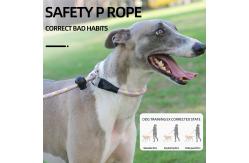 China Pet Explosion-Proof P Chain Leash Dog Reflective Breathable Integrated Dog Leash supplier