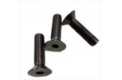 China Titanium Hexagon Socket Countersunk Head Screw Gr1 Gr3 Gr5 supplier