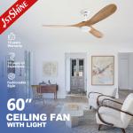 60 Inch Ceiling Fan With Wooden Blade And Dimmable Light Bldc Motor Energy Saving for sale