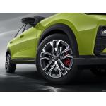 Gasoline SUV Petrol Hatchback 1.5L CVT Cool Model New Cars