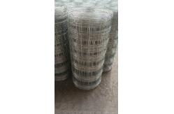 China Varies Chain Link Fencing Ultimate Combination Of High Strength And High Flexibility supplier