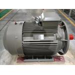 IE5 3 Phase Motor Variable Speed AC Motor 2 Poles 4 Poles Low Maintenance for sale