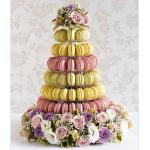 2017 Food grade Macaron Tower Stand Clear Macaron Stand Plastic Macaron tower new with CE certificate for sale