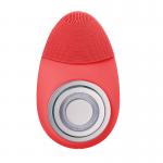 OEM Egg Rejuvenating Vibrating Facial Cleansing Device EMS Microcurrent for sale