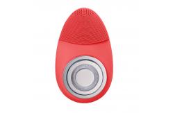 China OEM Egg Rejuvenating Vibrating Facial Cleansing Device EMS Microcurrent supplier