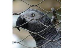China High Strength Knotted Stainless Steel Rope Wire Mesh For Zoo Enclosure supplier