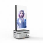 55 Inch Mobile AI Digital Human Transparent Screen 1920*1080 Resolution 400 Nits   Oled Transparent Oled Panel for sale