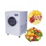 Hotel Fruit Vegetable Food Vacuum Freeze Dryer Machine 0.1m2 750W for sale